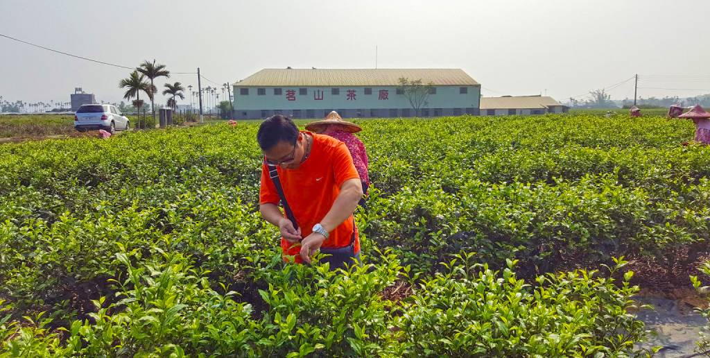 茗山國際茶業有限公司